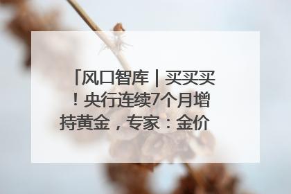 风口智库｜买买买！央行连续7个月增持黄金，专家：金价或仍易涨难跌