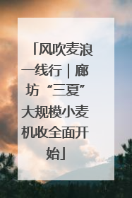 风吹麦浪一线行｜廊坊“三夏”大规模小麦机收全面开始