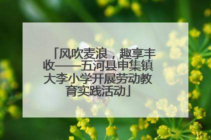 风吹麦浪，趣享丰收——五河县申集镇大李小学开展劳动教育实践活动