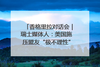 香格里拉对话会｜瑞士媒体人：美国施压盟友“极不理性” 欧洲国家无意与中国“脱钩断链”