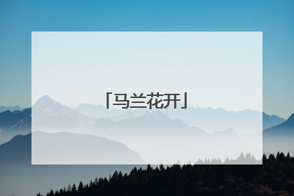 马兰花开