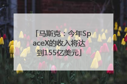 马斯克：今年SpaceX的收入将达到155亿美元
