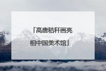 高唐秸秆画亮相中国美术馆