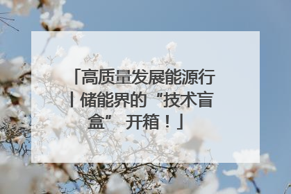 高质量发展能源行丨储能界的“技术盲盒” 开箱！