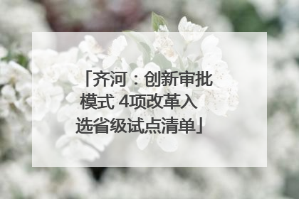 齐河：创新审批模式 4项改革入选省级试点清单