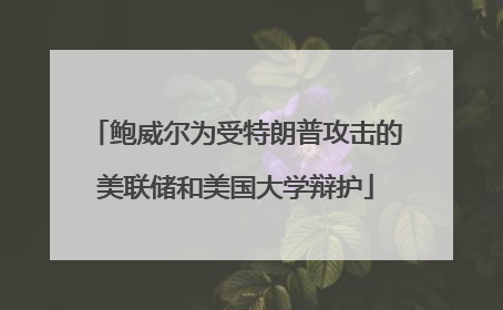 鲍威尔为受特朗普攻击的美联储和美国大学辩护