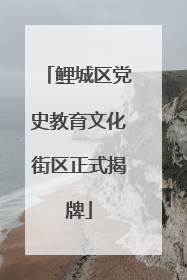 鲤城区党史教育文化街区正式揭牌