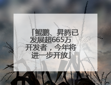 鲲鹏、昇腾已发展超665万开发者，今年将进一步开放