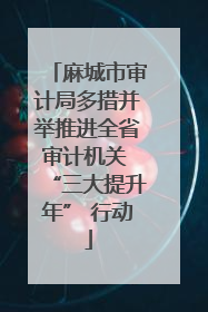 麻城市审计局多措并举推进全省审计机关 “三大提升年” 行动