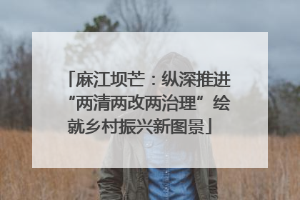 麻江坝芒：纵深推进“两清两改两治理”绘就乡村振兴新图景