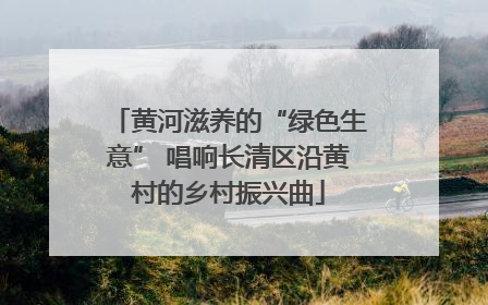 黄河滋养的“绿色生意” 唱响长清区沿黄村的乡村振兴曲