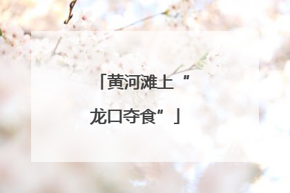 黄河滩上“龙口夺食”