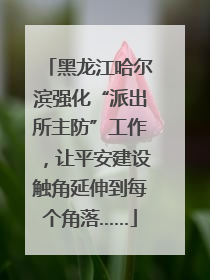 黑龙江哈尔滨强化“派出所主防”工作，让平安建设触角延伸到每个角落……