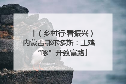 （乡村行·看振兴）内蒙古鄂尔多斯：土鸡“啄”开致富路