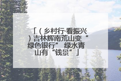 （乡村行·看振兴）吉林辉南荒山变“绿色银行” 绿水青山有“钱景”