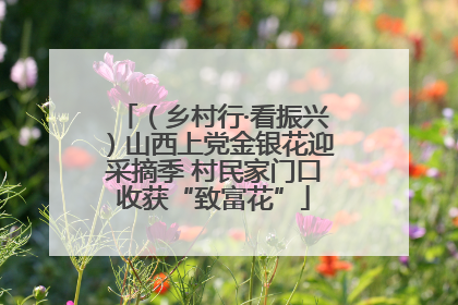 （乡村行·看振兴）山西上党金银花迎采摘季 村民家门口收获“致富花”