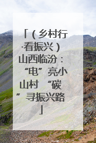 （乡村行·看振兴）山西临汾：“电”亮小山村 “碳”寻振兴路