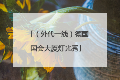（外代一线）德国国会大厦灯光秀