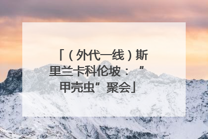 （外代一线）斯里兰卡科伦坡：“甲壳虫”聚会