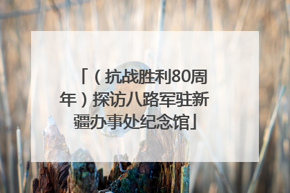 （抗战胜利80周年）探访八路军驻新疆办事处纪念馆