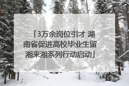 3万余岗位引才 湖南省促进高校毕业生留湘来湘系列行动启动