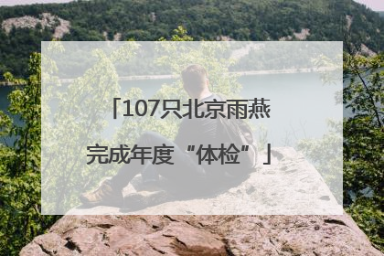 107只北京雨燕完成年度“体检”