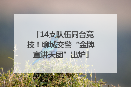 14支队伍同台竞技！聊城交警“金牌宣讲天团”出炉