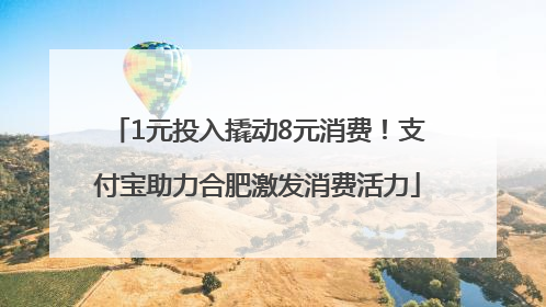 1元投入撬动8元消费！支付宝助力合肥激发消费活力