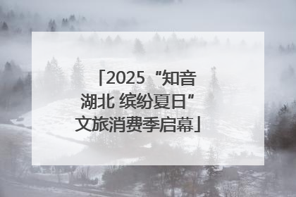 2025“知音湖北 缤纷夏日”文旅消费季启幕
