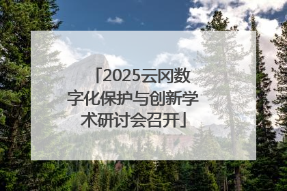 2025云冈数字化保护与创新学术研讨会召开