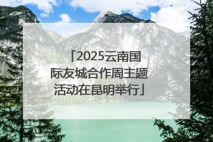 2025云南国际友城合作周主题活动在昆明举行