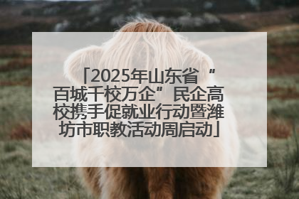 2025年山东省“百城千校万企”民企高校携手促就业行动暨潍坊市职教活动周启动