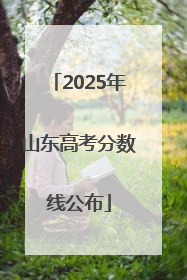 2025年山东高考分数线公布