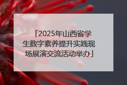2025年山西省学生数字素养提升实践现场展演交流活动举办