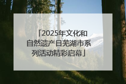 2025年文化和自然遗产日芜湖市系列活动精彩启幕