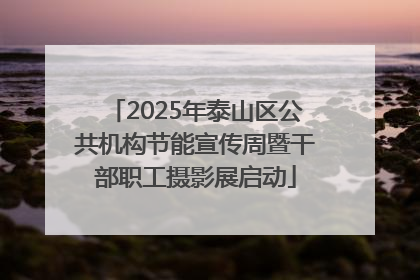 2025年泰山区公共机构节能宣传周暨干部职工摄影展启动