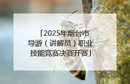 2025年烟台市导游（讲解员）职业技能竞赛决赛开赛