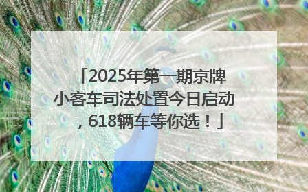 2025年第一期京牌小客车司法处置今日启动，618辆车等你选！