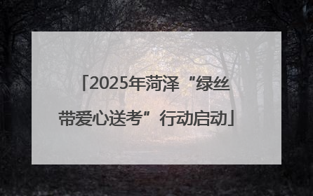 2025年菏泽“绿丝带爱心送考”行动启动