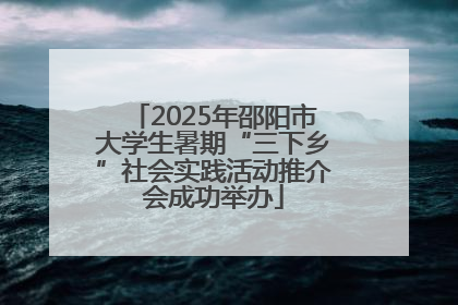 2025年邵阳市大学生暑期“三下乡”社会实践活动推介会成功举办