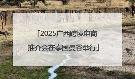 2025广西跨境电商推介会在泰国曼谷举行