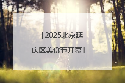 2025北京延庆区美食节开幕
