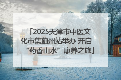 2025天津市中医文化市集蓟州站举办 开启“药香山水”康养之旅