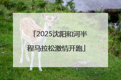 2025沈阳和河半程马拉松激情开跑