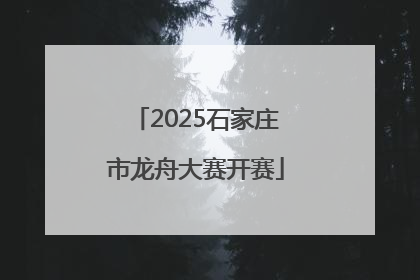 2025石家庄市龙舟大赛开赛