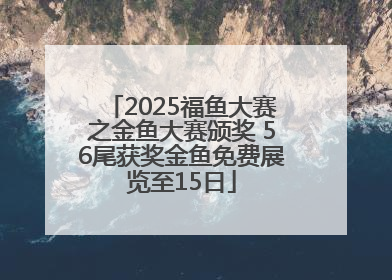 2025福鱼大赛之金鱼大赛颁奖 56尾获奖金鱼免费展览至15日