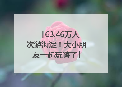 63.46万人次游海淀！大小朋友一起玩嗨了