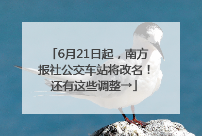6月21日起，南方报社公交车站将改名！还有这些调整→