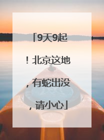 9天9起！北京这地，有蛇出没，请小心