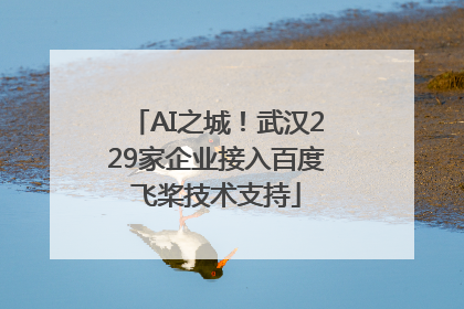 AI之城！武汉229家企业接入百度飞桨技术支持